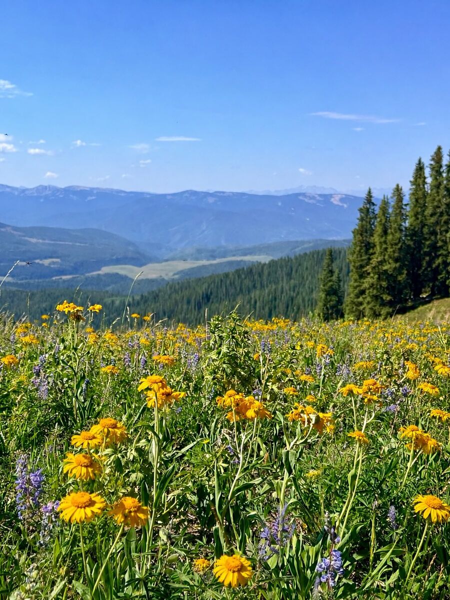 Photo by Chelsea | ADVENTURE + Colorado on August 05, 2026.